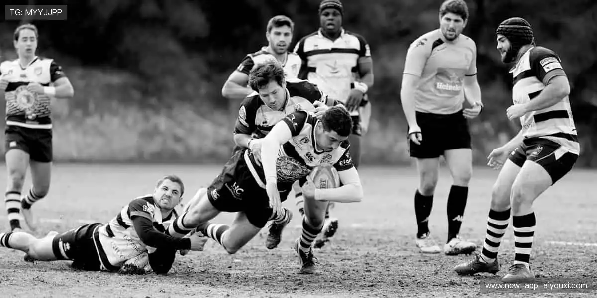 🎯匠心打造，运动装备与时尚完美碰撞！👟